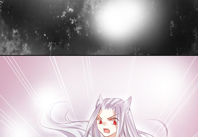 3628