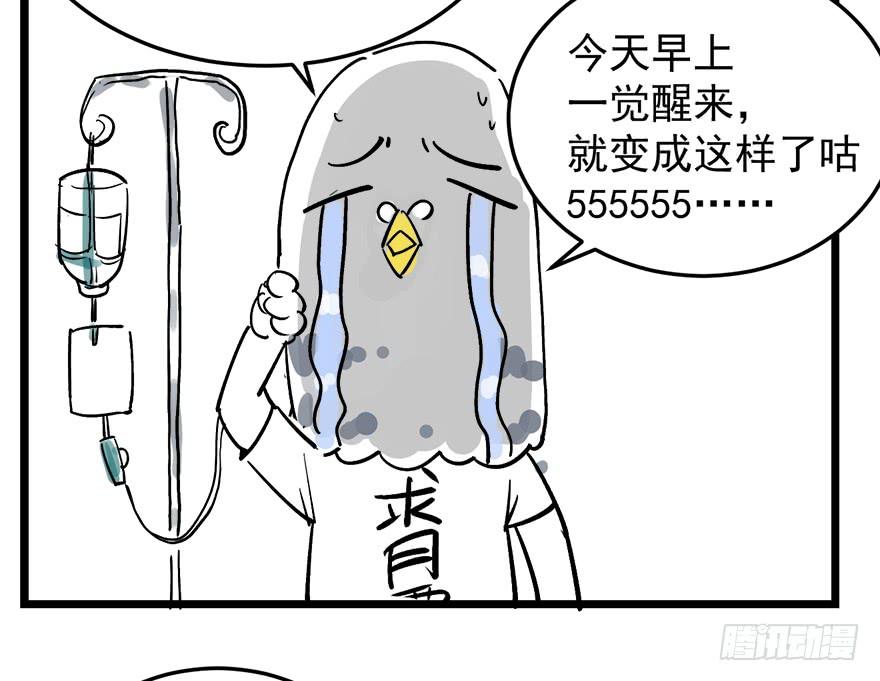 公 告6