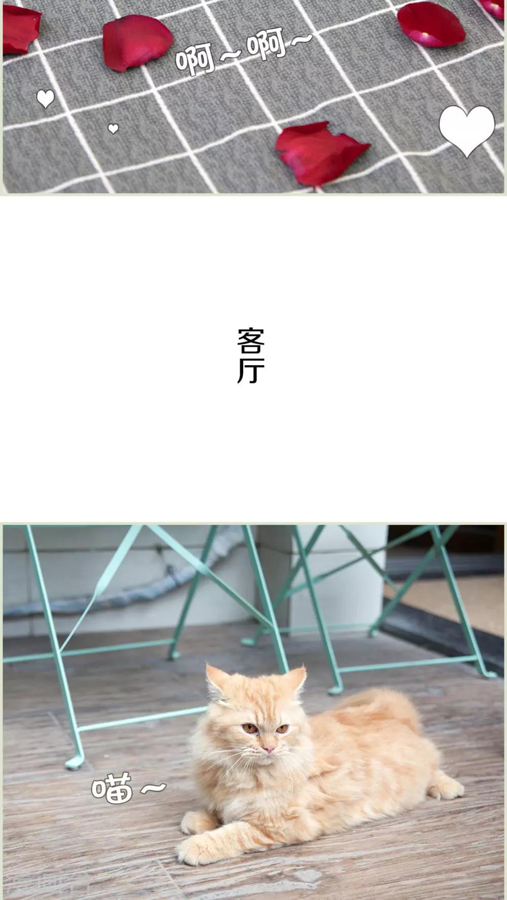 第49话11