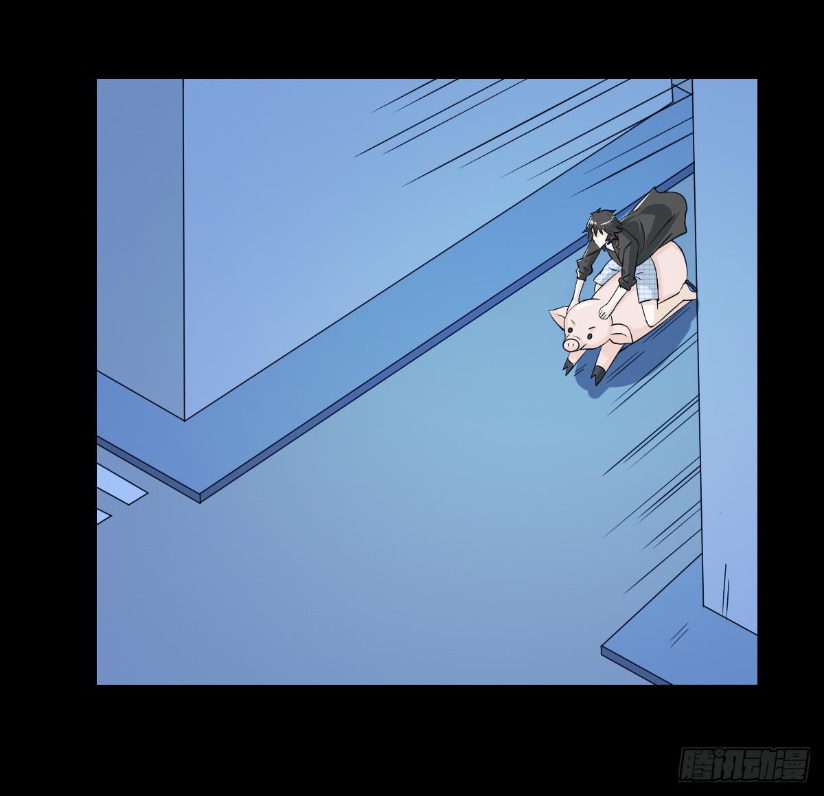3038