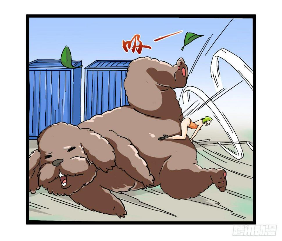 4817