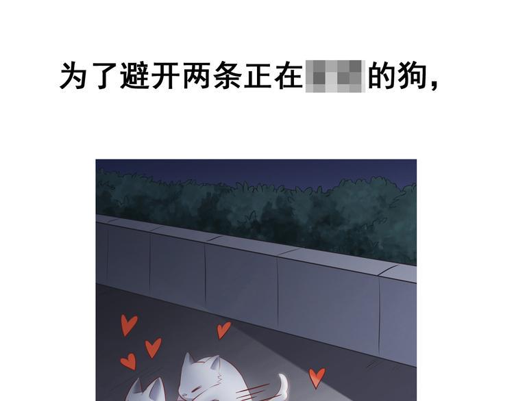 前情提要20