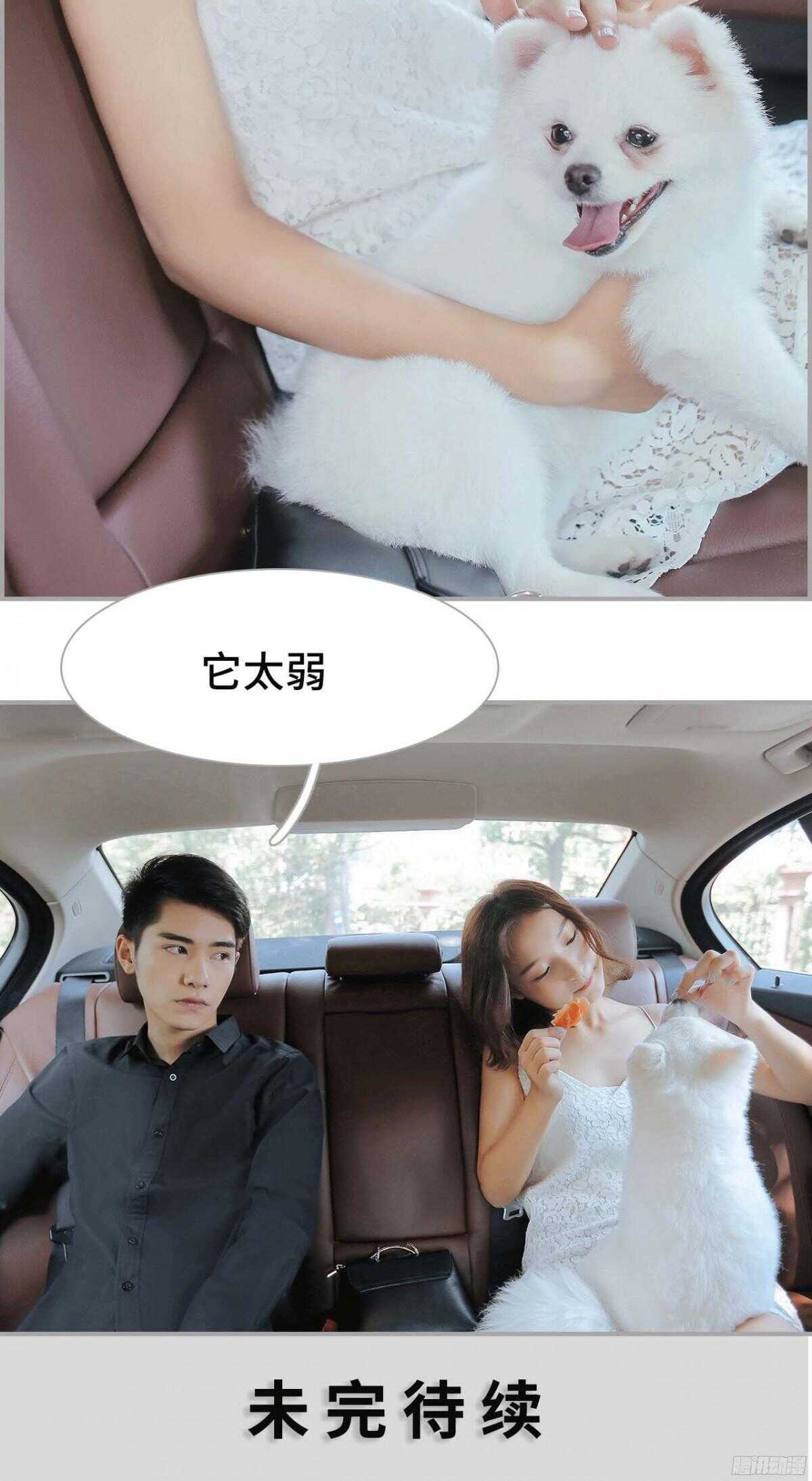 第11话12