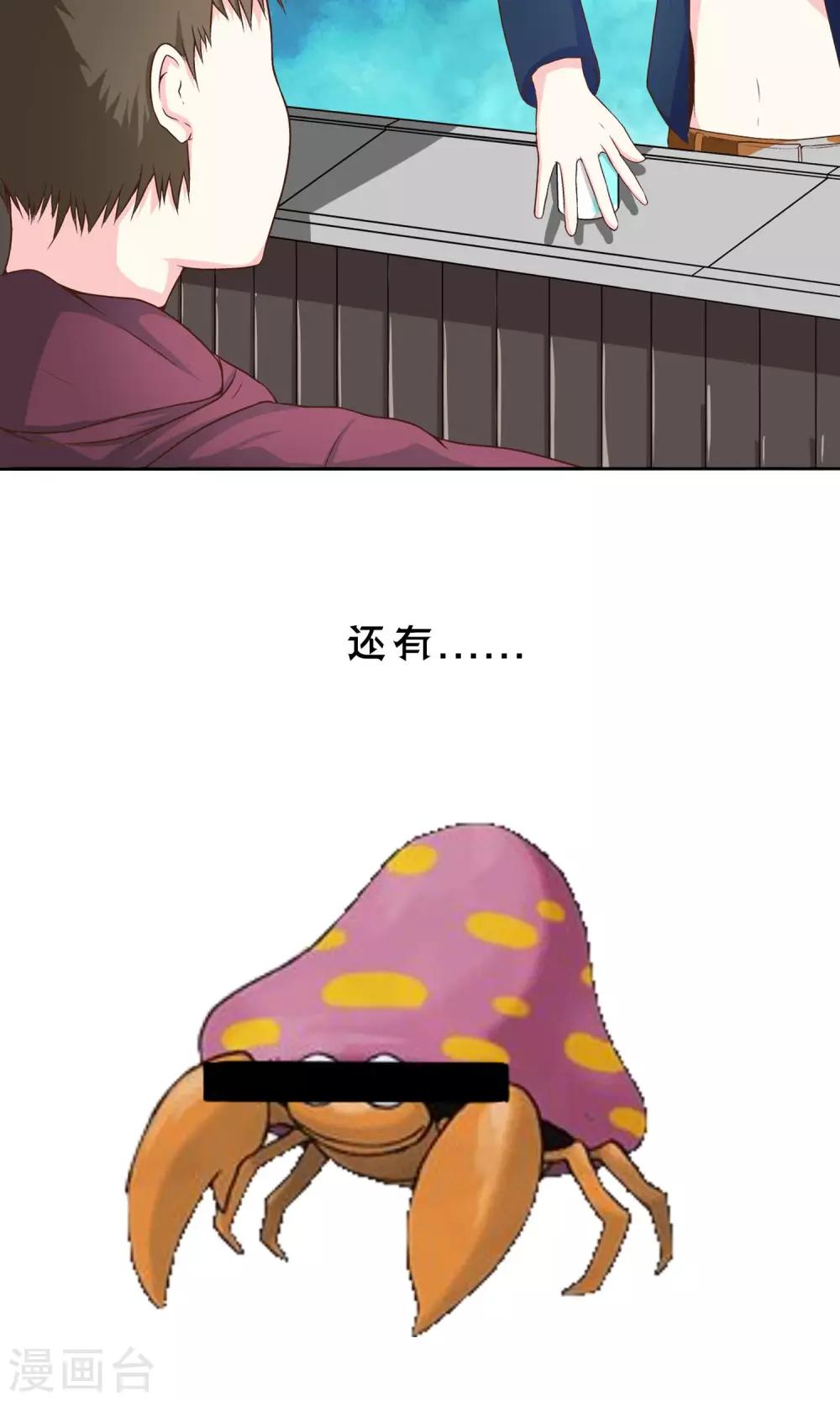 预告6