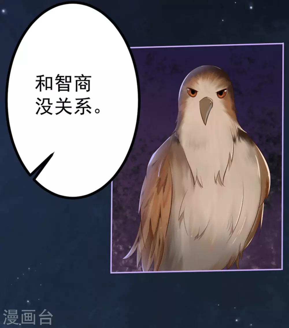 第41话35