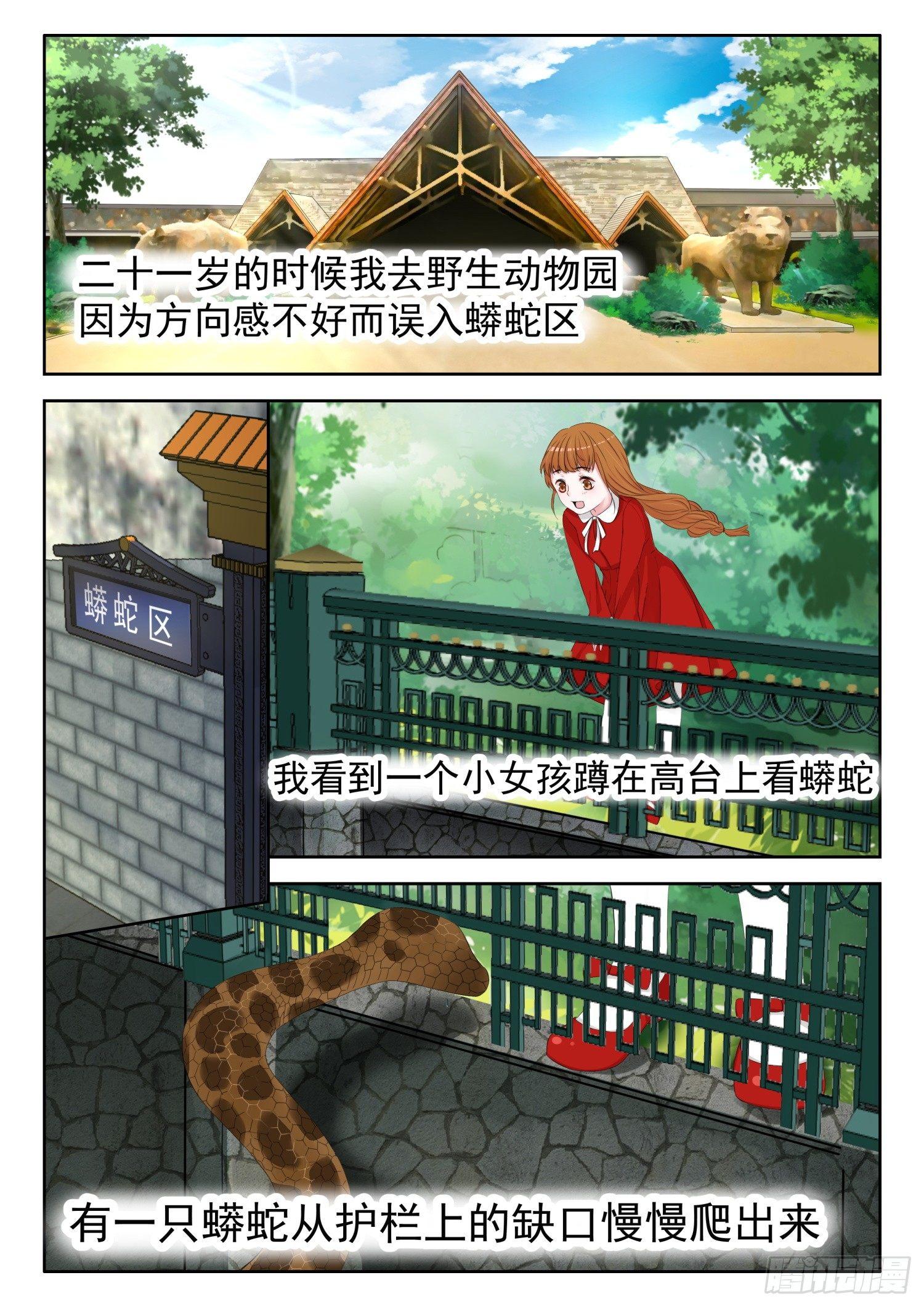 【5】一切都是假的1