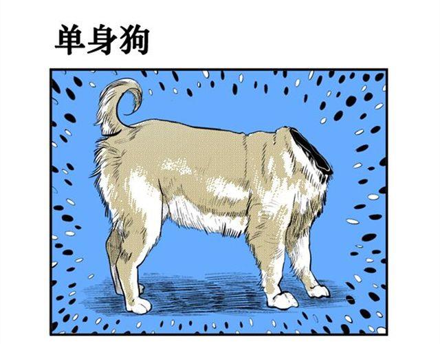 第14话 单身狗11