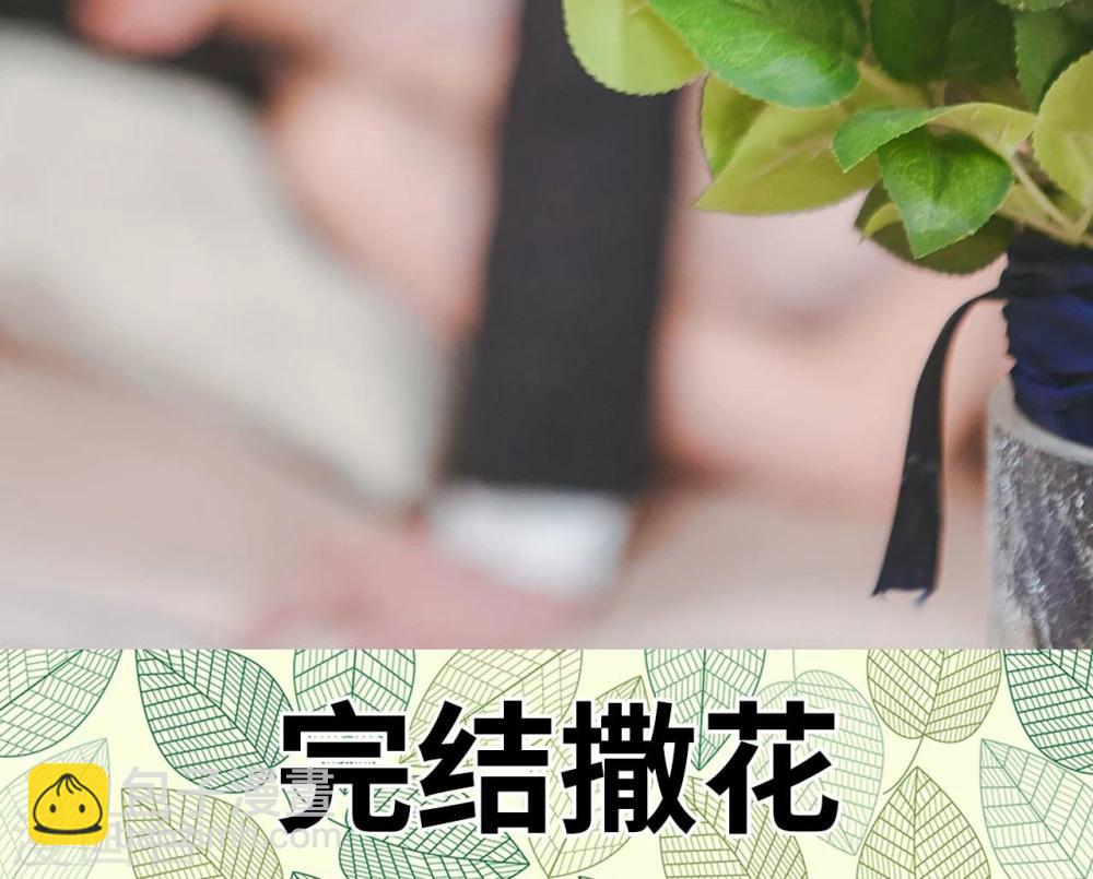 最终话27