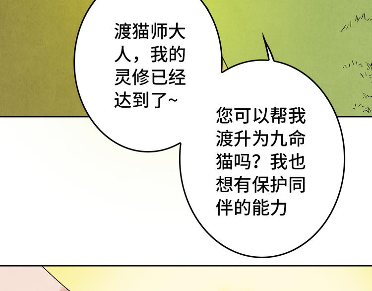 第05话 渡猫师102
