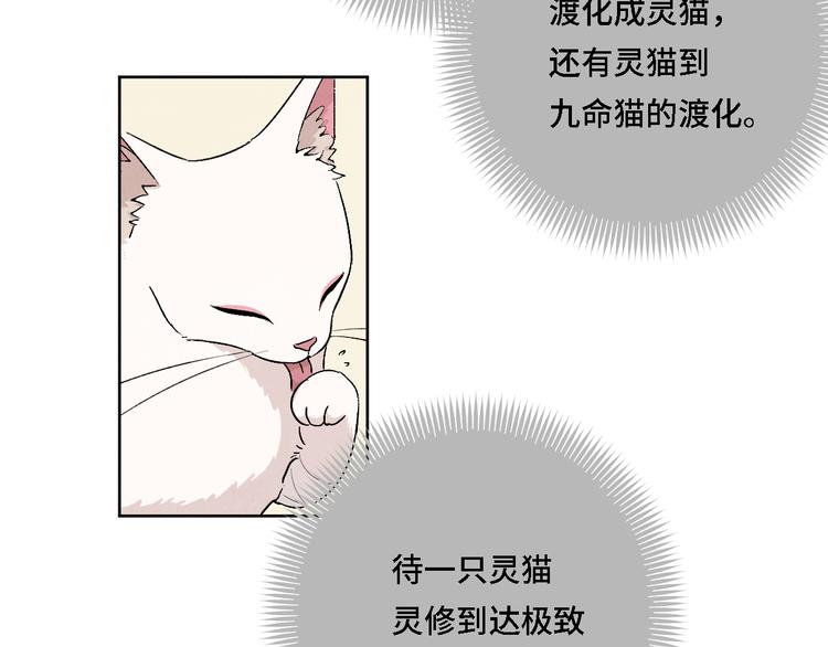 第05话 渡猫师118