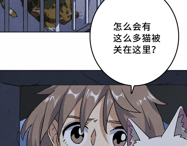 第17话 拯救灵猫8