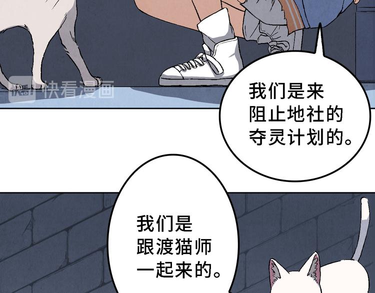 第17话 拯救灵猫33