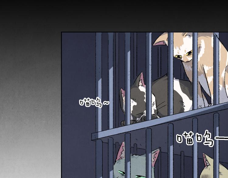 第17话 拯救灵猫6