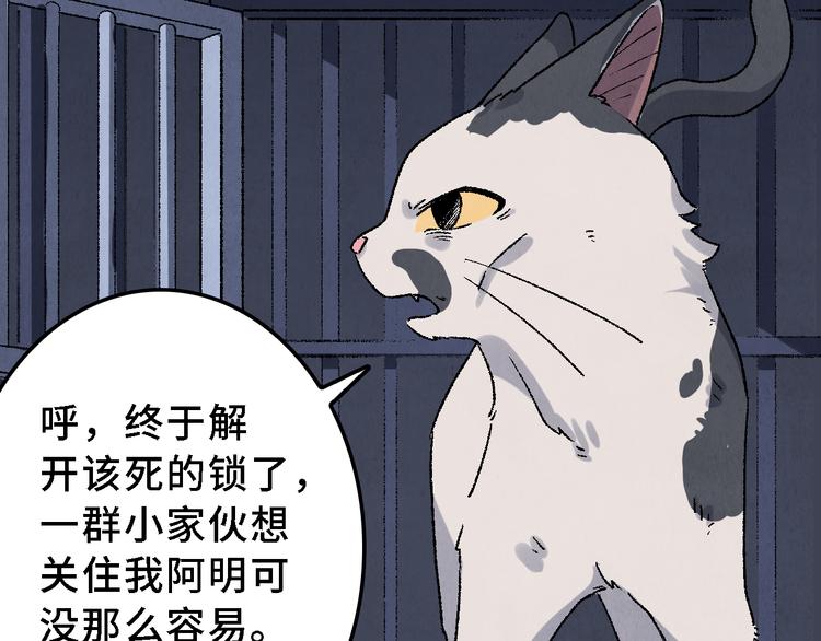 第17话 拯救灵猫24
