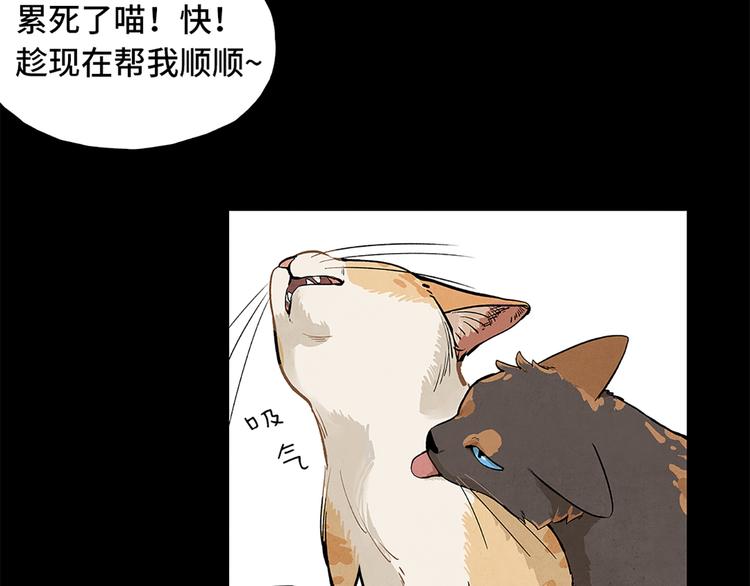 第00话  猫隐传说26