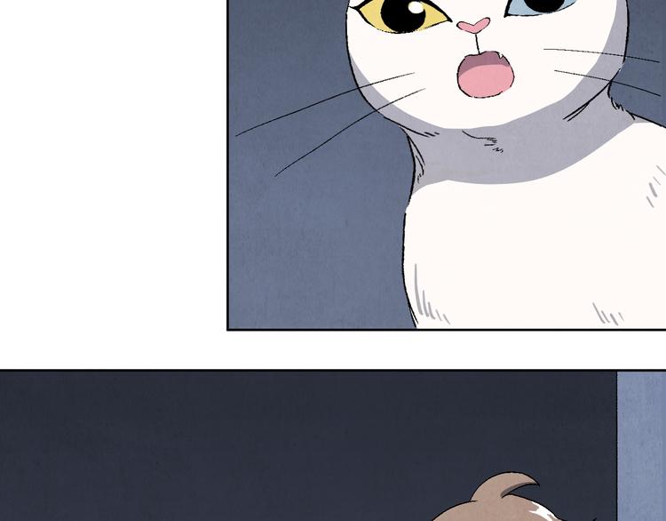 第17话 拯救灵猫31