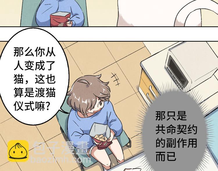 第05话 渡猫师138
