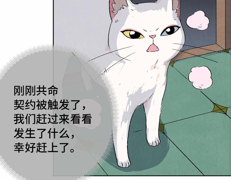 第12话 陈哆82