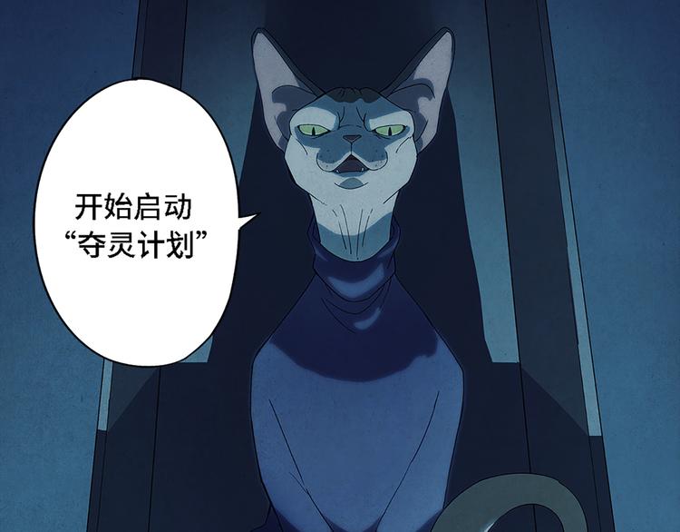 第00话  猫隐传说46