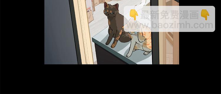 第00话  猫隐传说38
