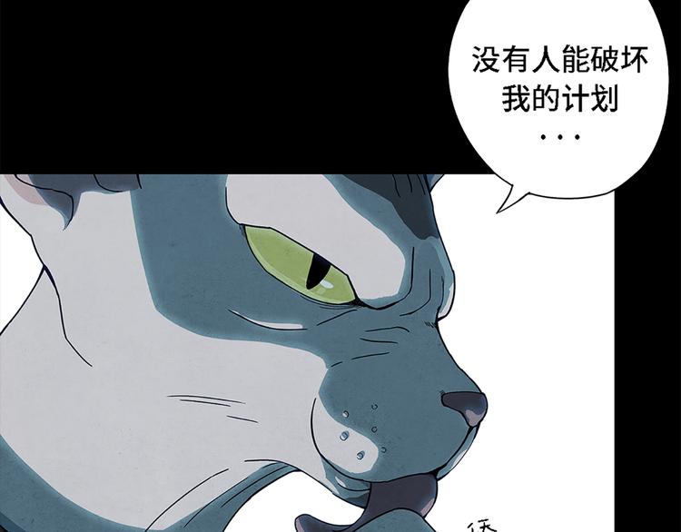 第00话  猫隐传说48