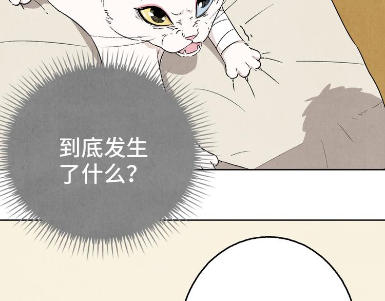 第05话 渡猫师48