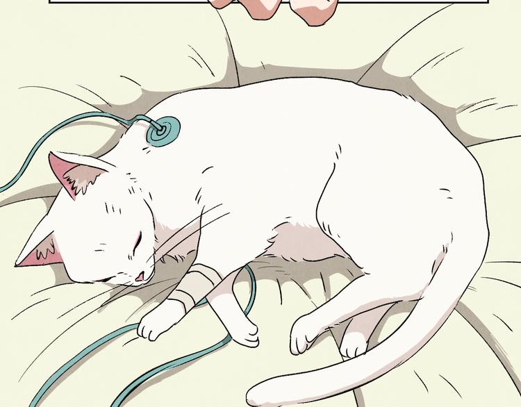 第05话 渡猫师30