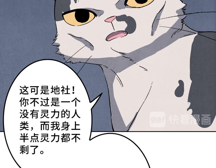 第17话 拯救灵猫40
