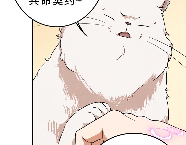 第03话 共命契约53