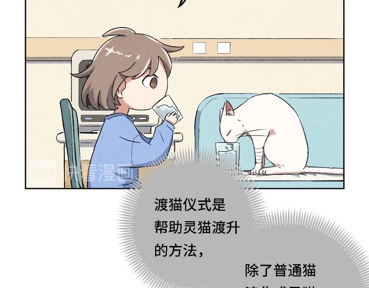 第05话 渡猫师117