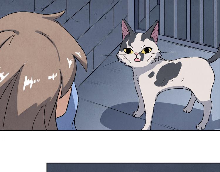 第17话 拯救灵猫37