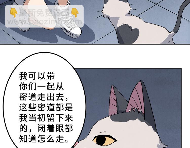第17话 拯救灵猫35