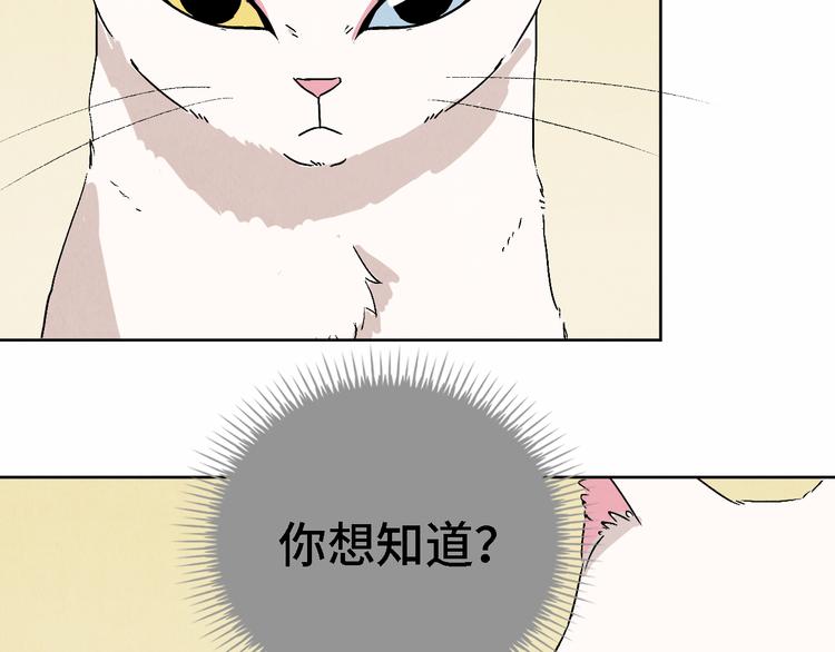 第05话 渡猫师73