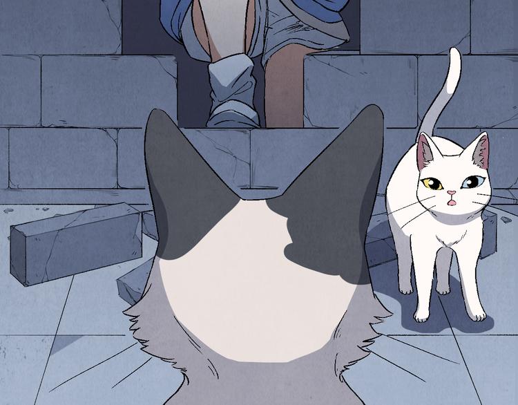 第17话 拯救灵猫29