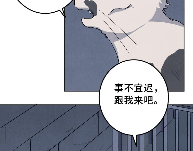 第17话 拯救灵猫36