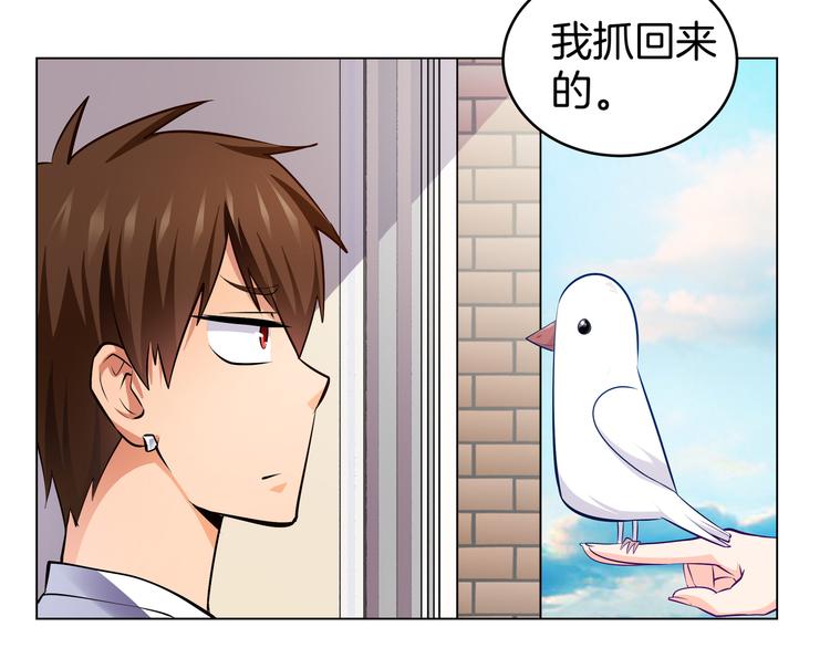 第4话 不能烤乳鸽33
