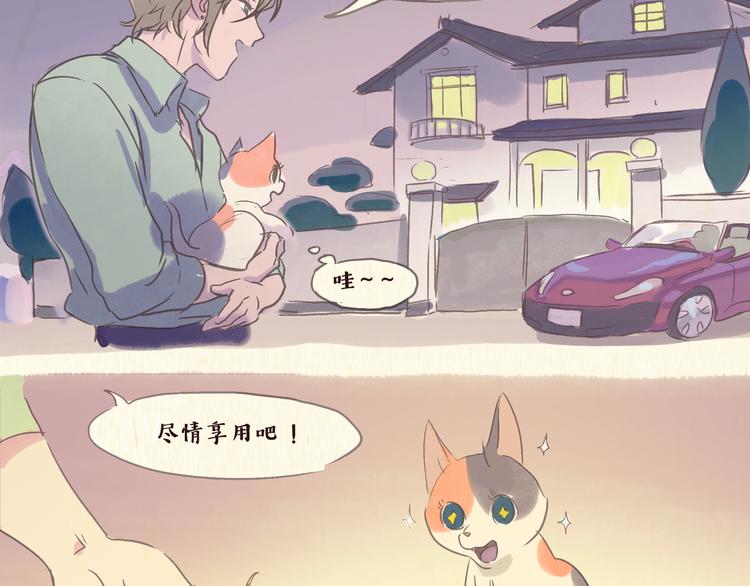 流浪猫（下）2