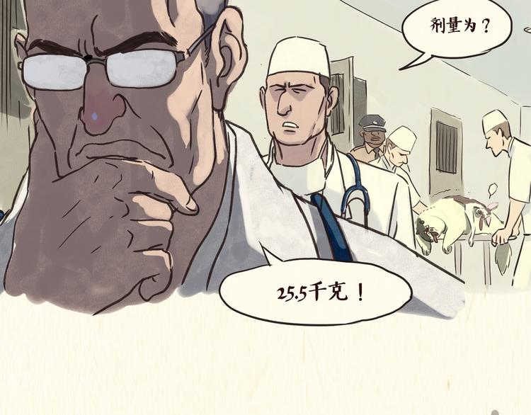 戒猫8