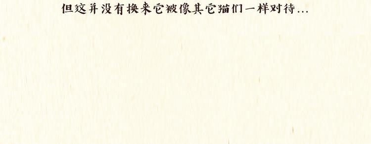 出逃，过往21
