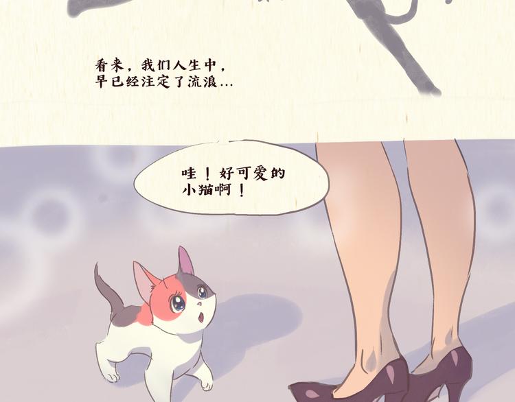 流浪猫（下）8