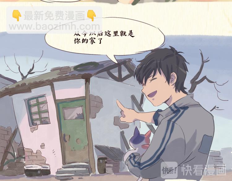 流浪猫（上）7