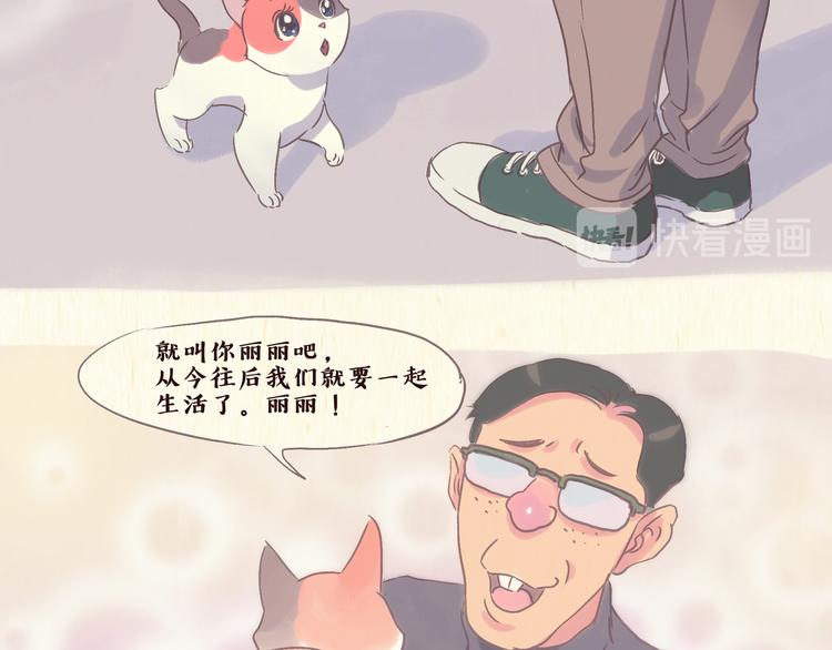 流浪猫（上）3
