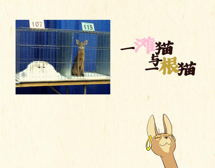 木乃伊0