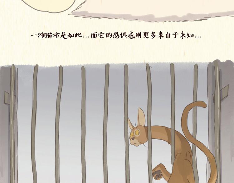 除毛21