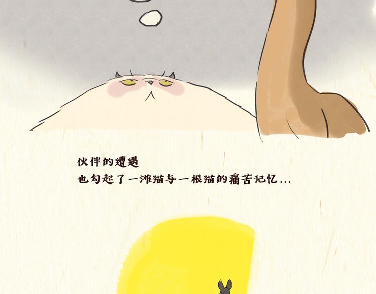 铲屎官24