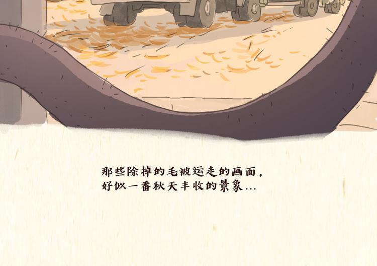 除毛25