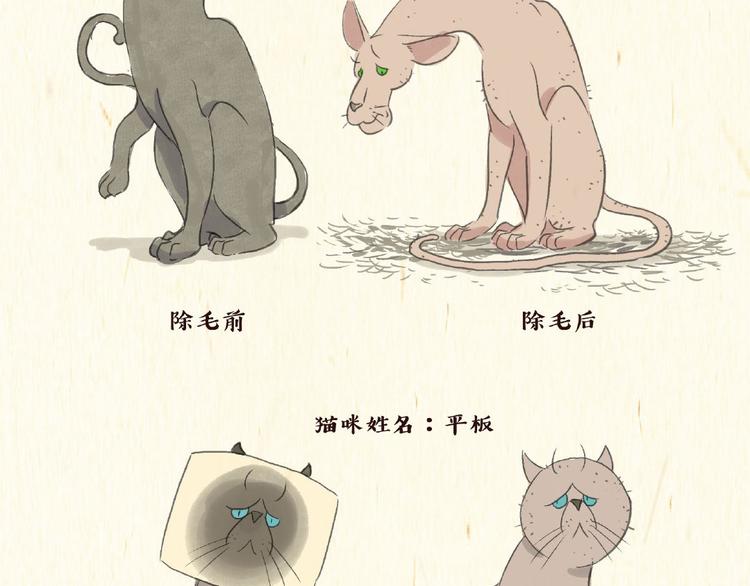除毛11