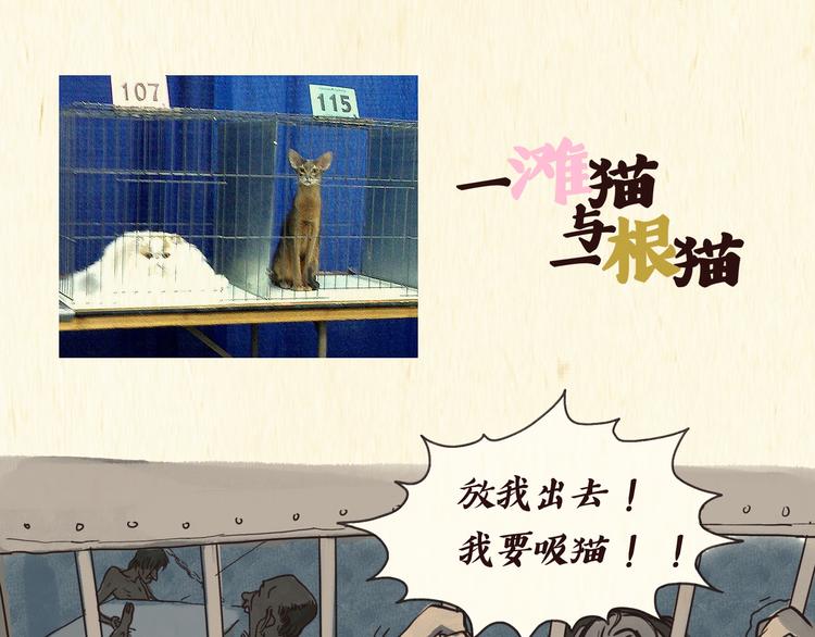 戒猫0