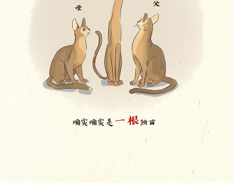 出逃，过往15
