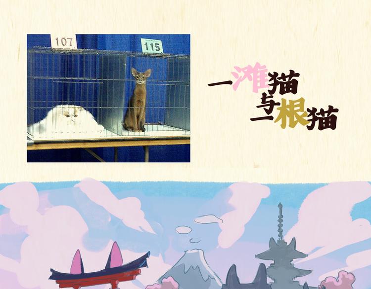 猫奴国（上）终0